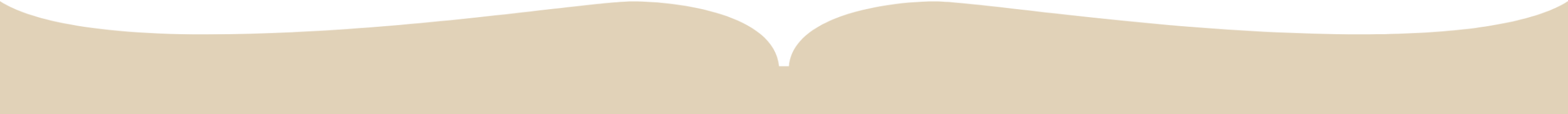 Footer Wave